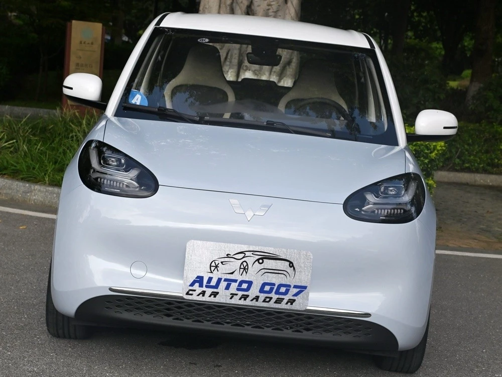 Wuling Binguo Plus battery range